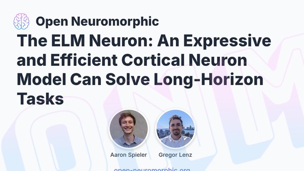 Social share preview for The ELM Neuron: An Expressive and Efficient Cortical Neuron Model Can Solve Long-Horizon Tasks
