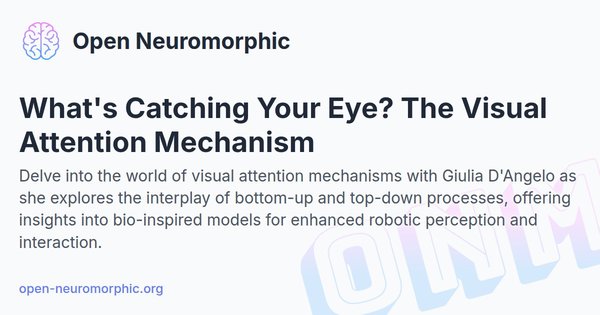 Social share preview for What's Catching Your Eye? The Visual Attention Mechanism